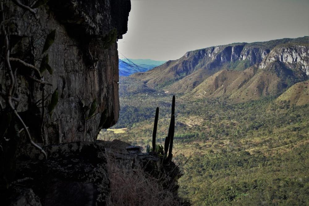 Mariri Jungle Lodge Alto Paraiso de Goias Luaran gambar