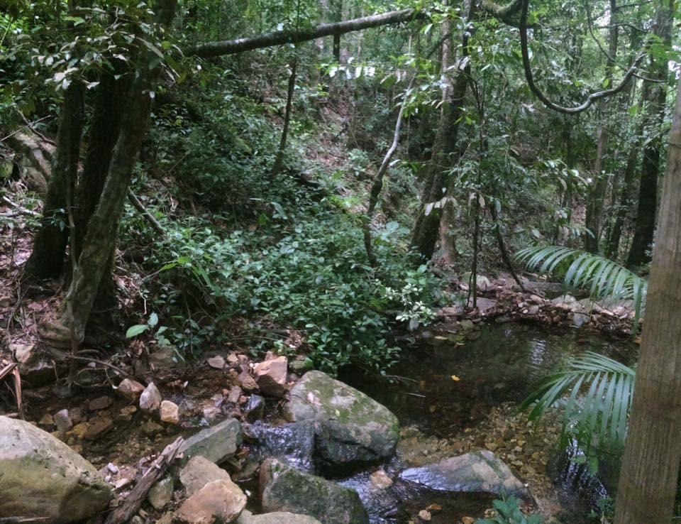 Mariri Jungle Lodge Alto Paraiso de Goias Luaran gambar