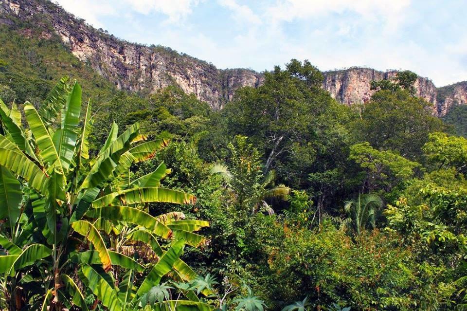 Mariri Jungle Lodge Alto Paraiso de Goias Luaran gambar