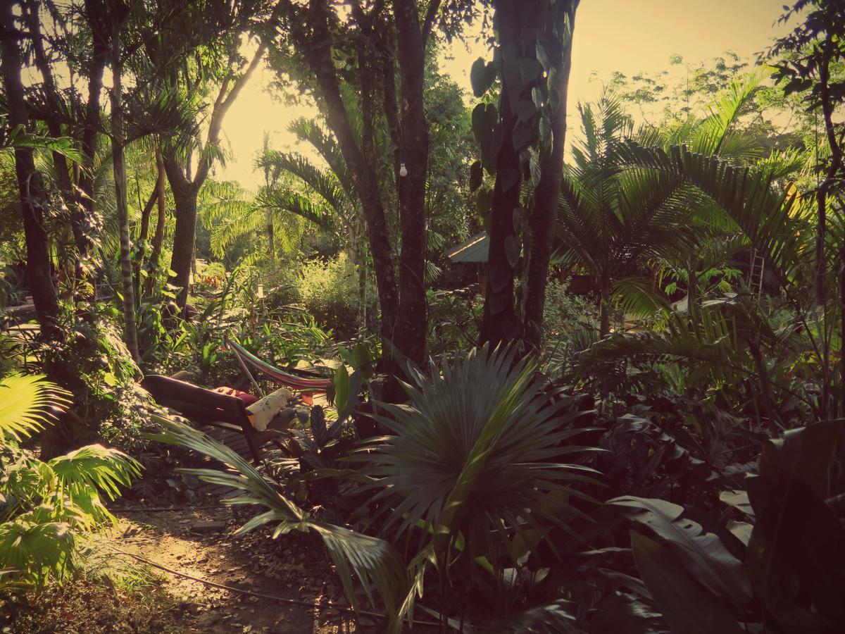 Mariri Jungle Lodge Alto Paraiso de Goias Luaran gambar